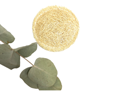 Disque exfoliant luffa